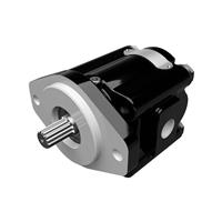Cast Iron Pumps - PGM031 Series